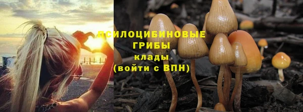 твердый Зеленодольск