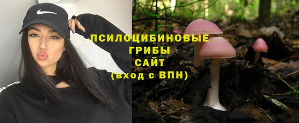 шишки Зерноград