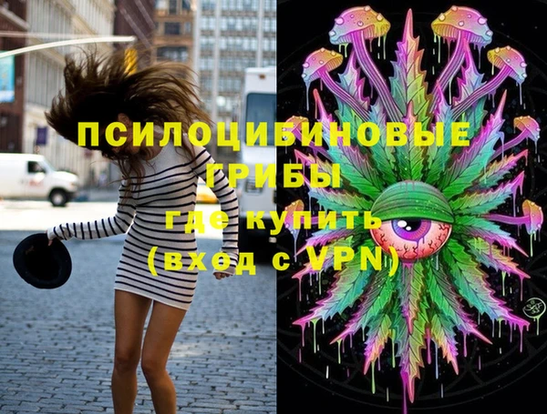 шишки Зерноград