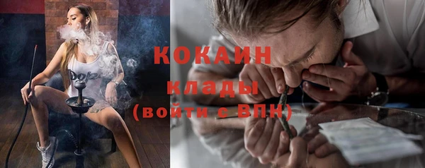 шишки Зерноград
