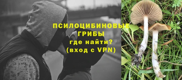амф Нестеровская