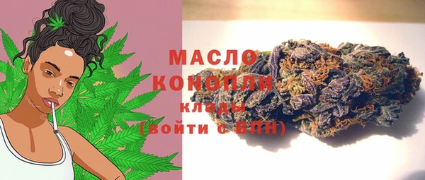 твердый Зеленодольск