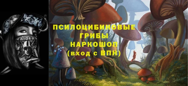 крисы Зеленокумск