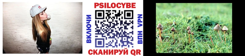 магазин Питкяранта Галлюциногенные грибы Psilocybe